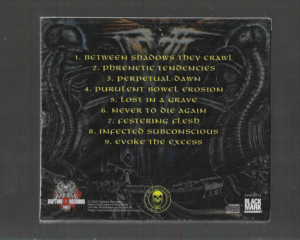 Fleshcrawl – Descend Into The Absurd – ( Slipcase )