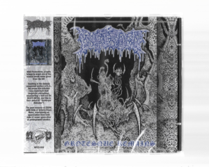 Infested – Grotesque Remains